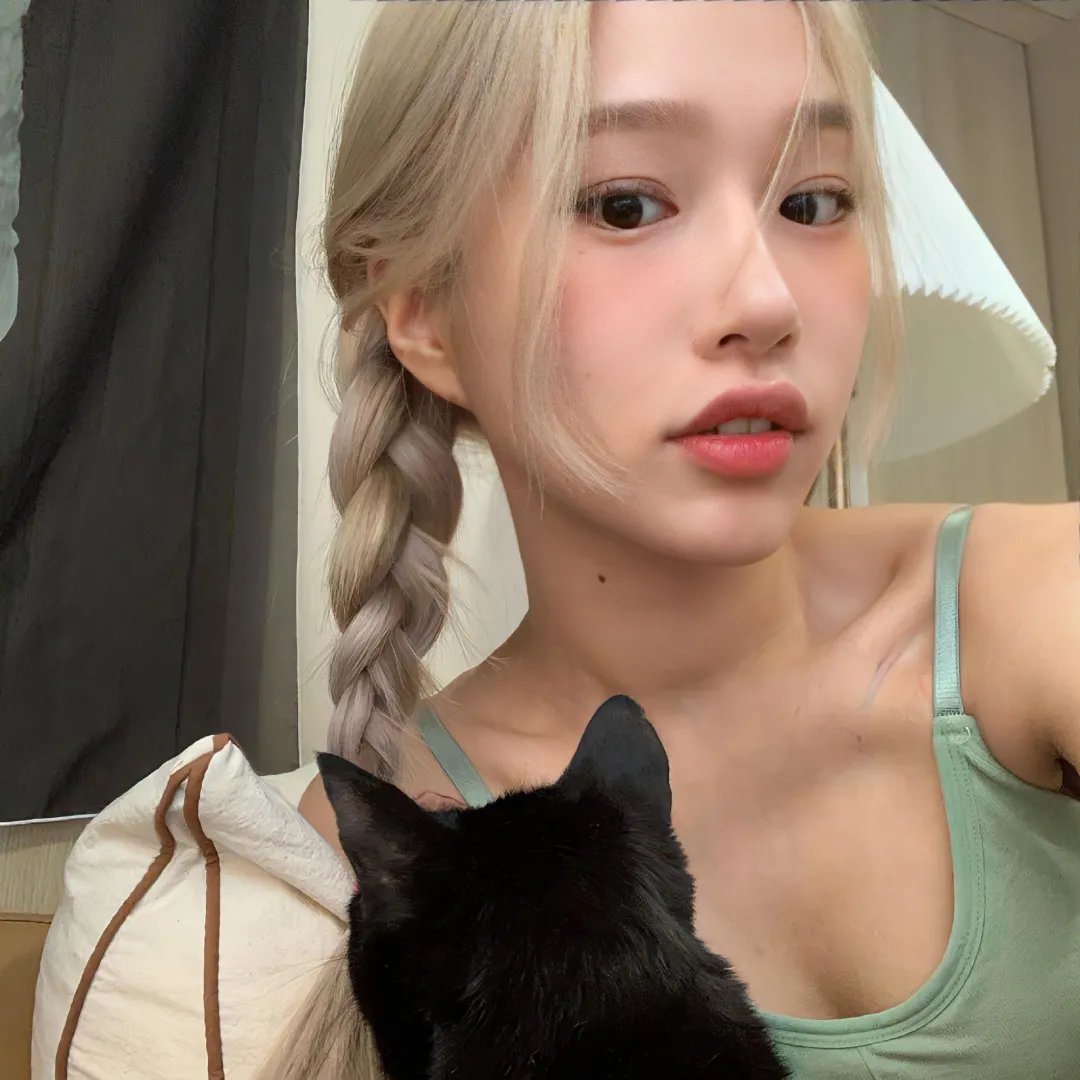 猪法奇缘