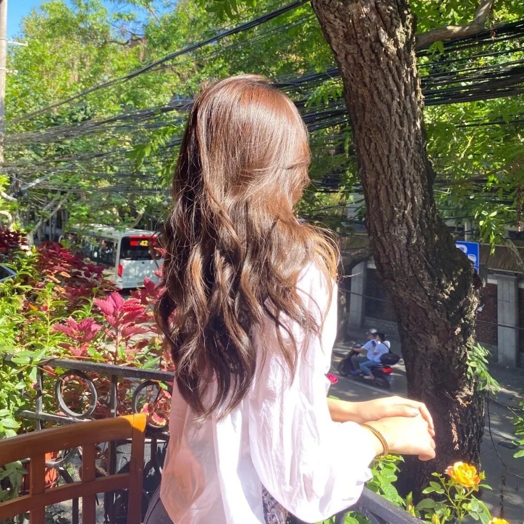 藏獒多吉